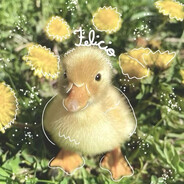 WomenDuck